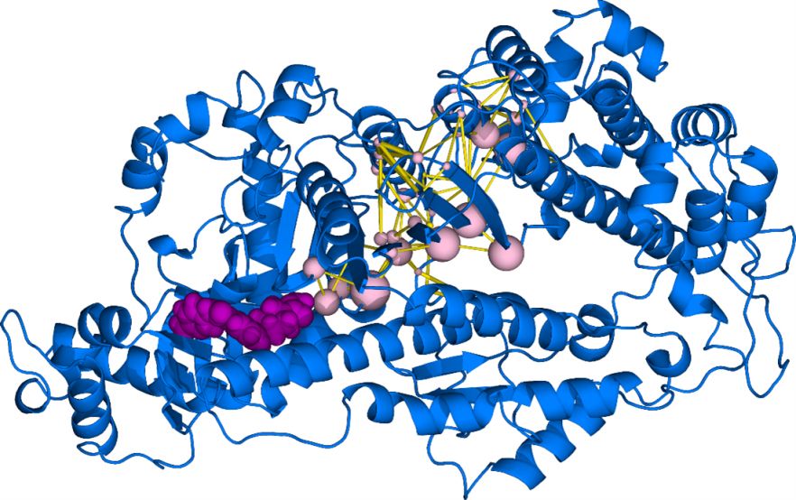 allosteric communication 
