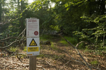 UK Ash Trees Evolve to Resist Dieback Ash-dieback signpost in Marden Park wood (Credit: Paul Figg, Kew Gardens)